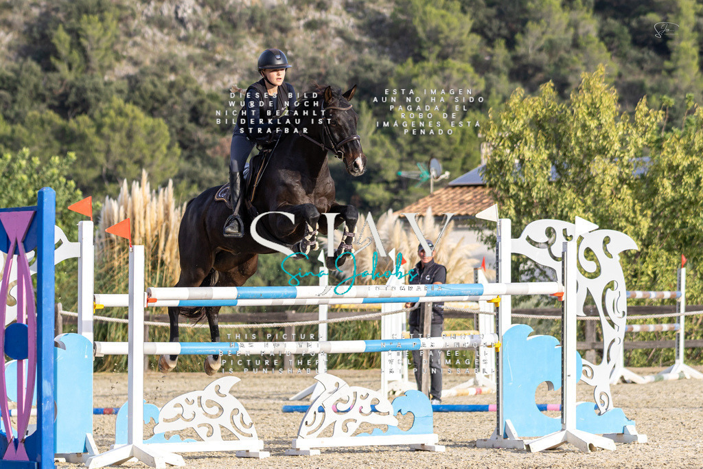 IMG_5133 | s-jay-photography - Realisiert mit Pictrs.com