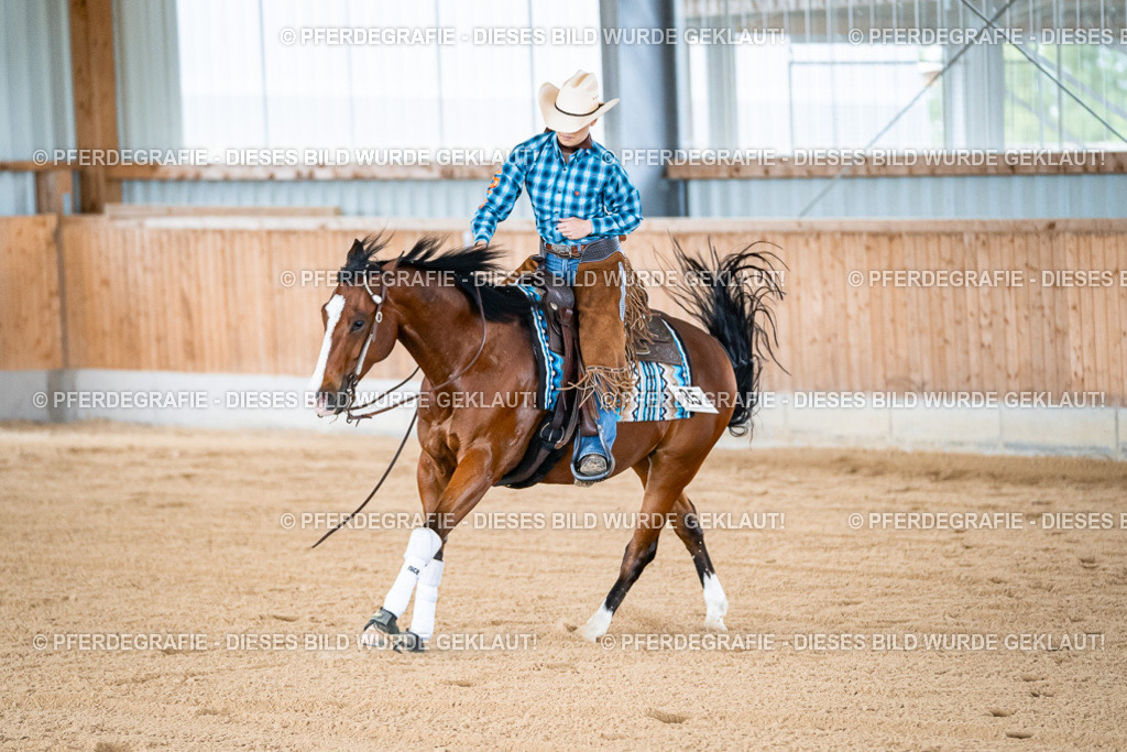 DSC08199 | Pferdegrafie