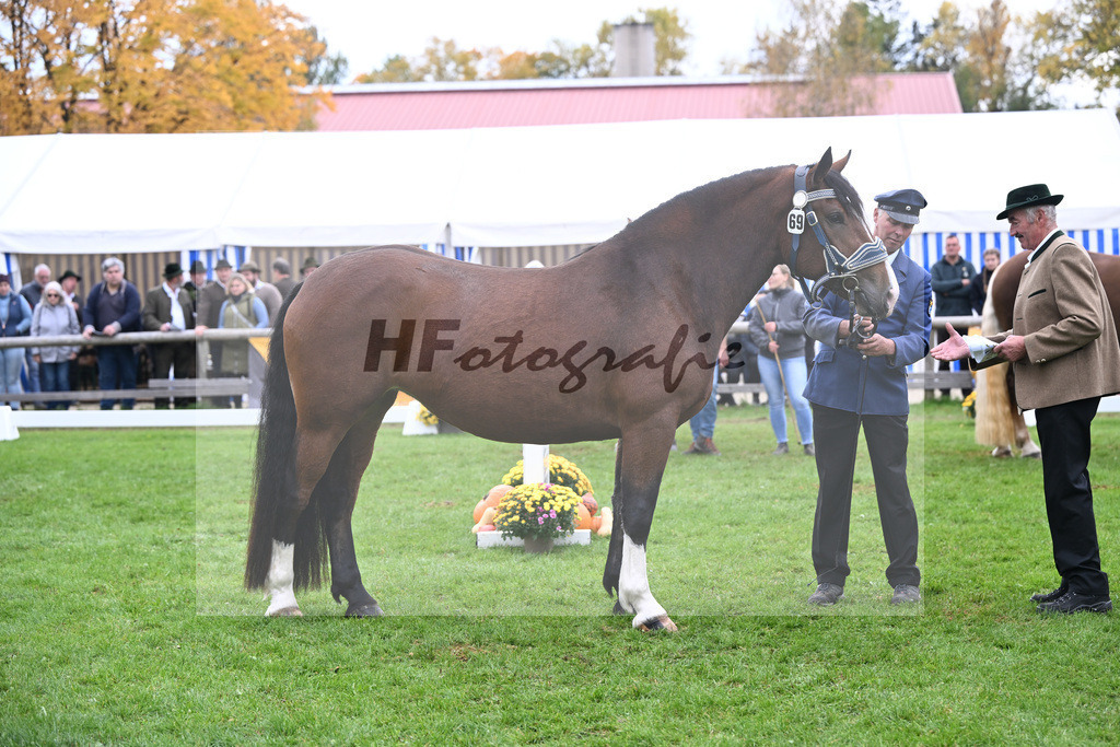 Kat-Nr. 69 Vivana v. Rupertiwinkel_HLG Schwaiganger_41251699 | hf-fotografie - Realizzato con Pictrs.com