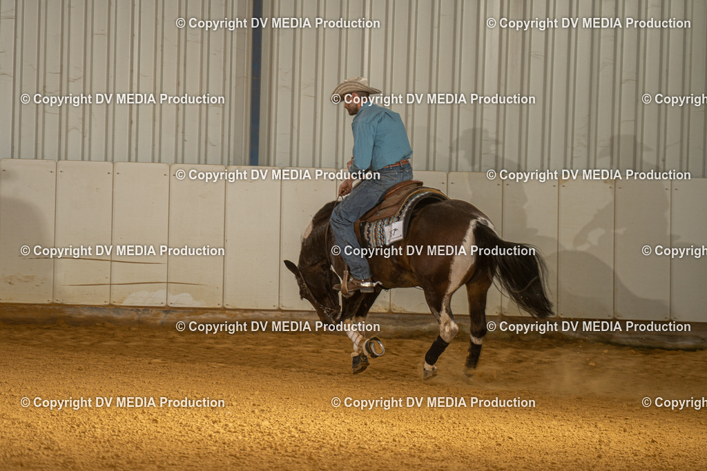 MIT01285 | dv-media-shop - Realisiert mit Pictrs.com