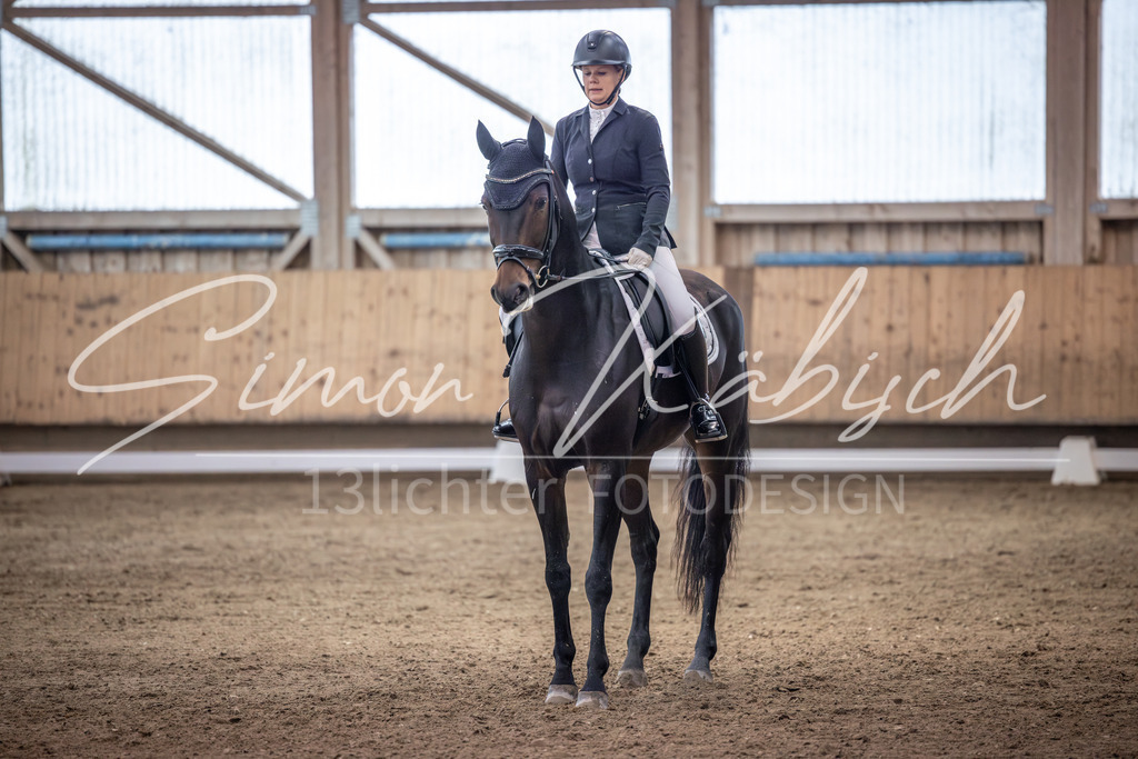 20251011-_3LI1727 | Tierfotografie Pferde, Hunde, Katzen, Haustiere.
Turnierfotografie Reitturniere, Reiten, Springreiten, Dressur in Hanau, dem Main-Kinzig-Kreis und dem Rhein-Main- Gebiet um Frankfurt