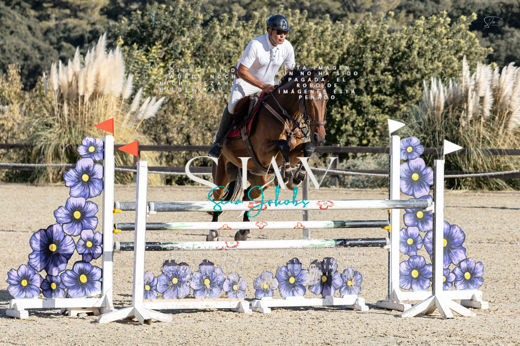 IMG_0063 | s-jay-photography - Realisiert mit Pictrs.com