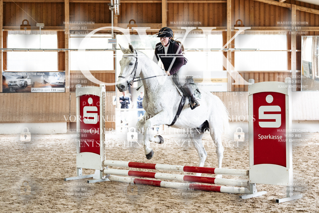 CK902493 | Turnierfotografie Pferdefotografie Trier Rheinland-Pfalz Pferdesport Reitsport Tierfotografie Sportfotografie Pferdevideo Pferdevideografie Equestrianvideography equestrianphotography  - Realisiert mit Pictrs.com