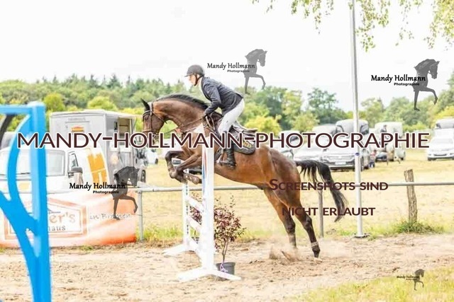 26-8-7 SPR A++-534 | mandyhollmannphotographie
