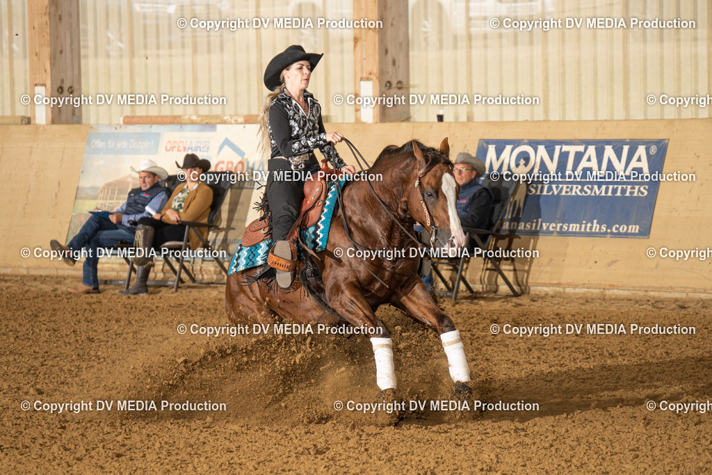 LAU00818 | dv-media-shop - Realisiert mit Pictrs.com