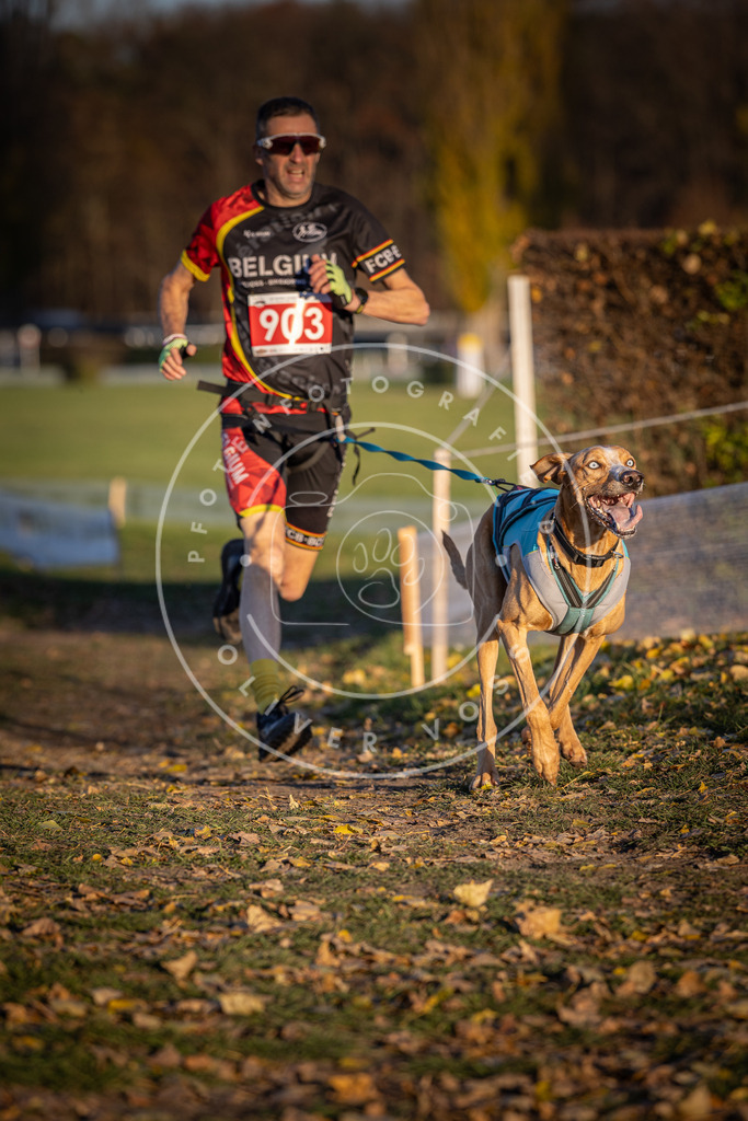 CaniXpix_DV3A4659 | Hundefotografie, Tierfotograf, Pfotenfotografie, Fotoshooting Hund, Hunde Portrait, Hundesport, Hundeportraits, Heideshooting, Hunde, Sportfotograf, Hundefotograf, Turnierhundsport, THS,  - Realisiert mit Pictrs.com