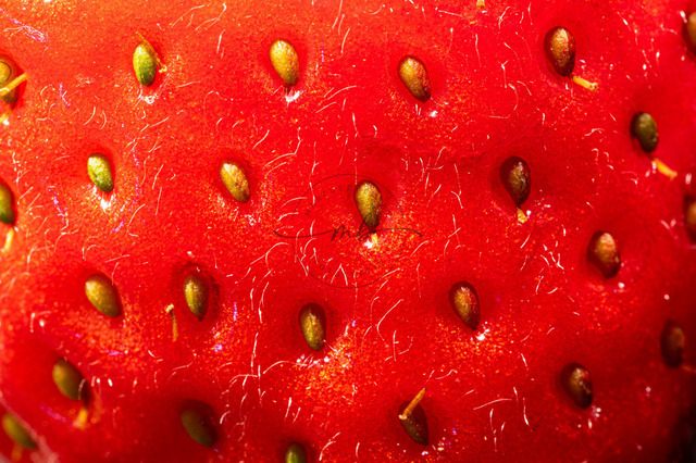 Eine Erdbeere in Nahaufnahme | Professionelle Natur- & Landschaftsfotos als Poster, auf Leinwand & viele mehr. Wähle aus einer Vielzahl an Formaten & Materialien Dein perfektes Bild. - Realisiert mit Pictrs.com