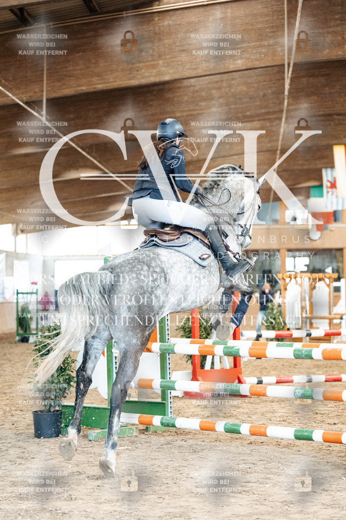 CK904881 | Turnierfotografie Pferdefotografie Trier Rheinland-Pfalz Pferdesport Reitsport Tierfotografie Sportfotografie Pferdevideo Pferdevideografie Equestrianvideography equestrianphotography  - Realized with Pictrs.com