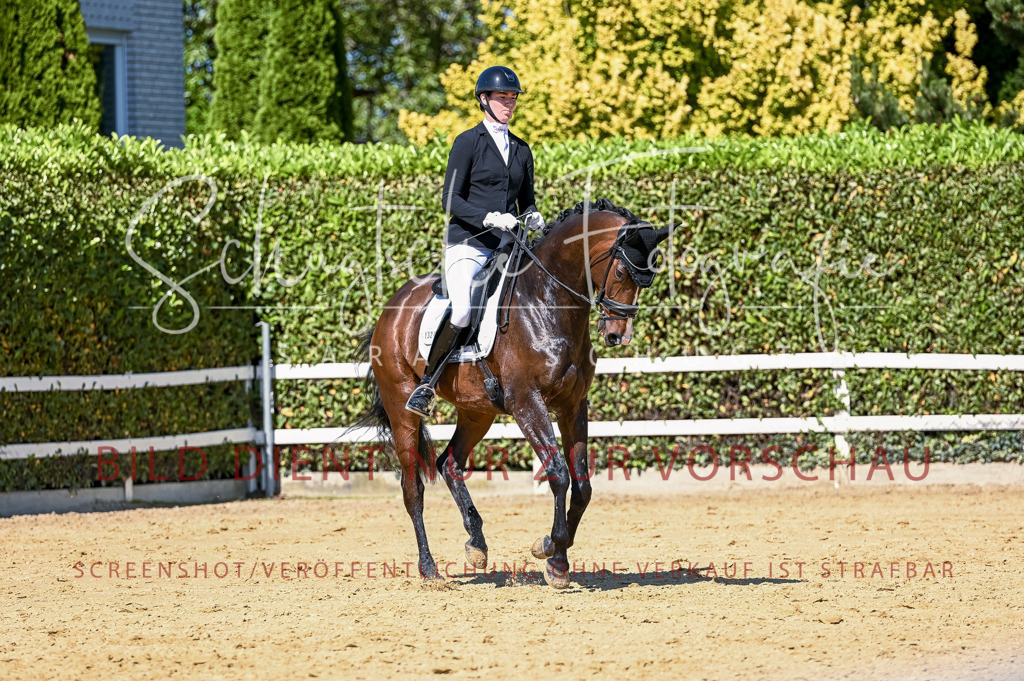 Schugtsche-Aluta25-50.Dressurpferdeprf.L-69 | Schugtsche Fotografie - Realisiert mit Pictrs.com