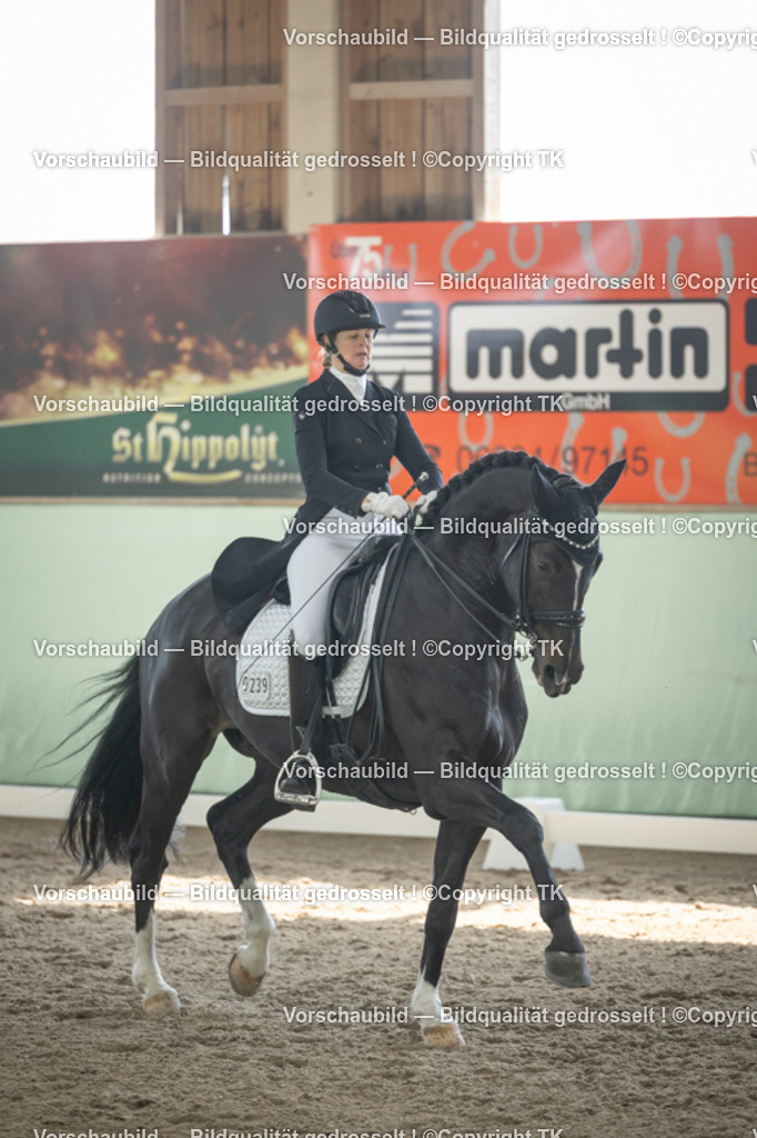 _D5A1613 | Emotionale Pferde- & People-Fotografie rund um Heidelberg, Leimen & Umgebung. Natürliche Fotos von Pferd, Mensch & Familie. Jetzt Termin sichern!