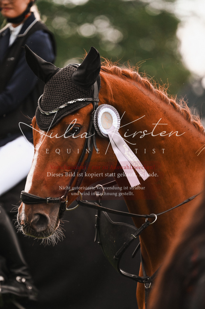 DSC_6671 | Pferde- und Turnierfotografie in Westsachsen. Pferdeportraits, Auftragszeichnungen und intuitive Kunst.