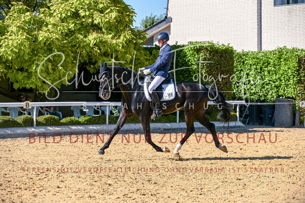 Schugtsche-Aluta25-50.Dressurpferdeprf.L-237 | Schugtsche Fotografie - Realisiert mit Pictrs.com
