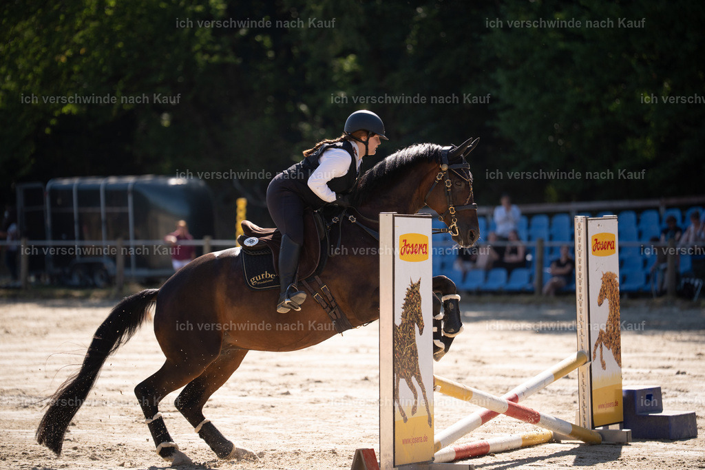 WL_SP_58_Stoibphotography_SO15188 | working equitationturnier fotograf videograf stoibphotography marixx film working equitation deutschland reitsport turnierfotografie eventfotografie equestrian events