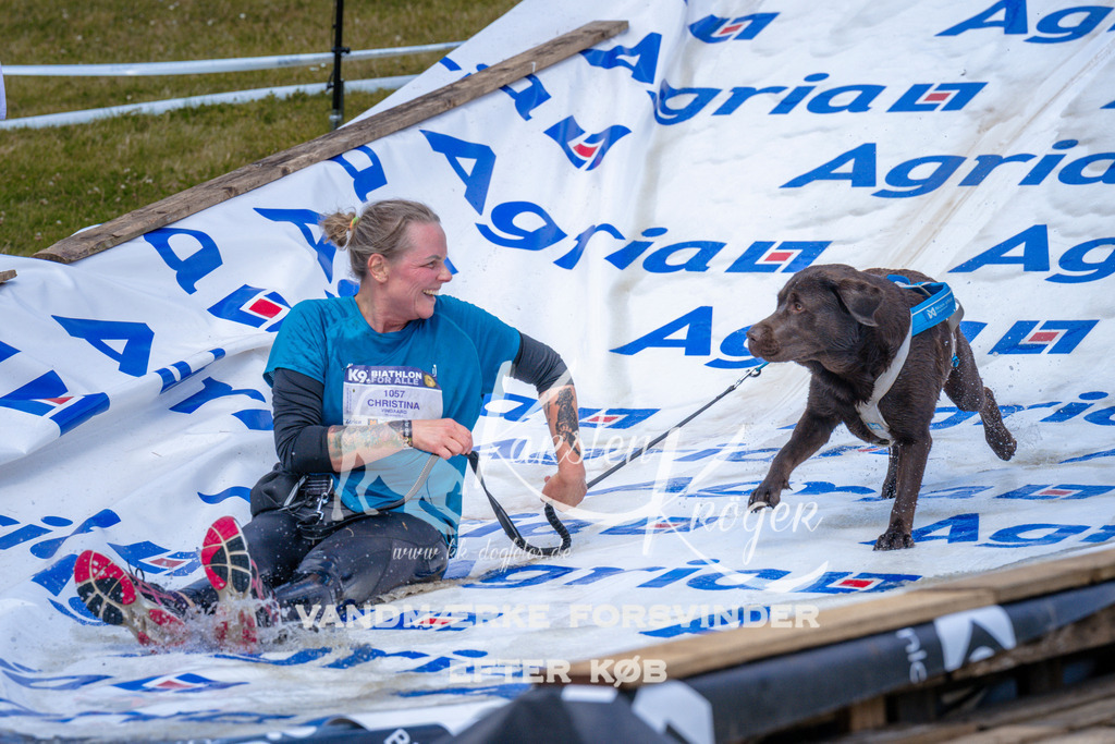 _ZZ984211041 | kk-dogfotos