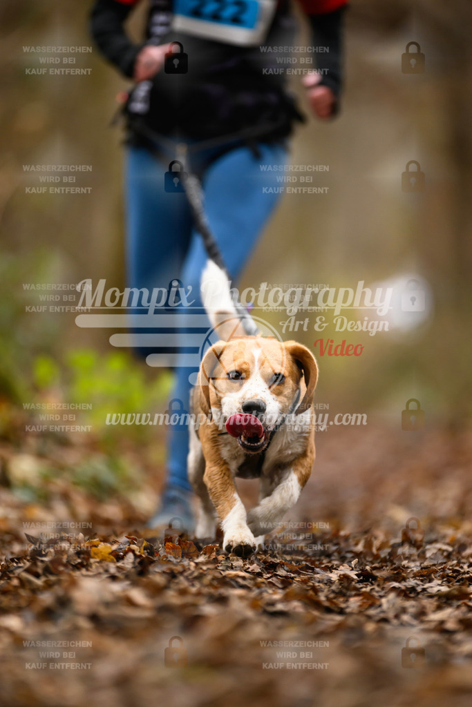 MompixPhotography_Eschau2024_CCC-96 | PayLife