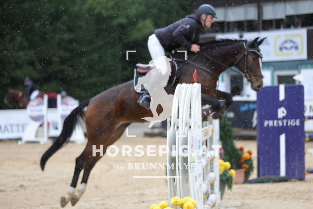 0P6A9235 | Willkommen bei Brunnmayr - Design & Fotografie – Ihrem Spezialisten für Reitturniere und Pferdeveranstaltungen in Oberösterreich, Salzburg und Bayern! Seit über 17 Jahren sind wir leidenschaftlich dabei.