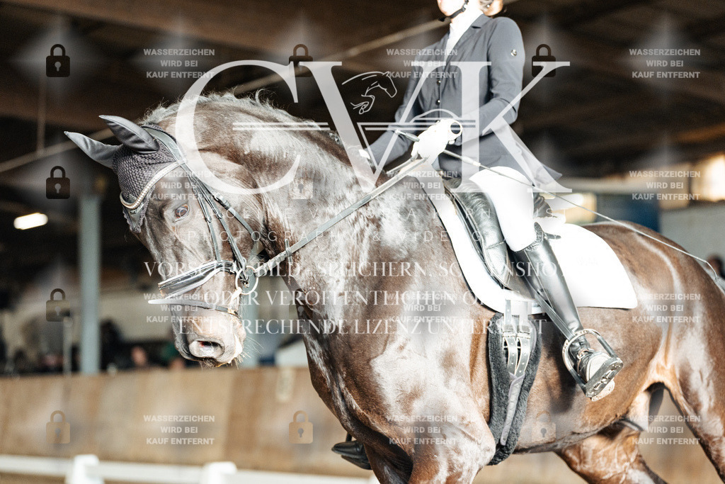 CK902475 | Turnierfotografie Pferdefotografie Trier Rheinland-Pfalz Pferdesport Reitsport Tierfotografie Sportfotografie Pferdevideo Pferdevideografie Equestrianvideography equestrianphotography  - Realisiert mit Pictrs.com