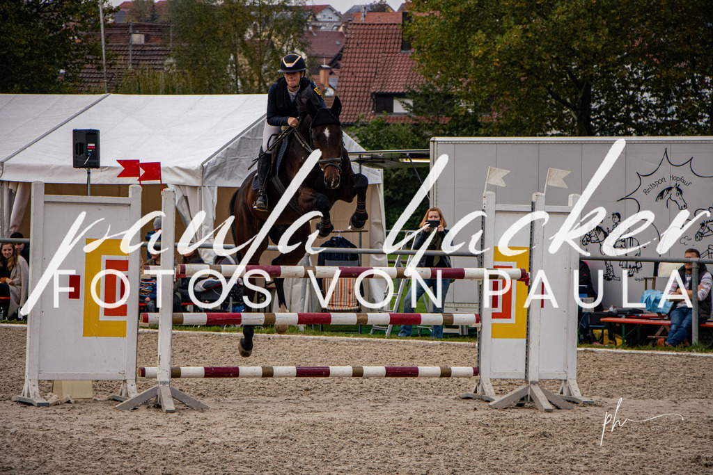 IMG_5117 | Erleben Sie dynamische Sport- und emotionale Tierfotografie in Süddeutschland mit Fotos von Paula. Spezialisiert auf Pferde- und Hundefotografie sowie Sportevents. Kontaktieren Sie mich für einzigartige und ausdrucksstarke Bilder Ihrer besonderen Momente. - Realisiert mit Pictrs.com
