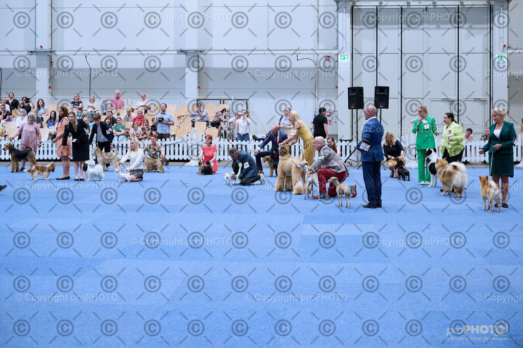 202406_ÖKV-IHA-Tulln24_NZ9_8770 | proPHOTO - Realisiert mit Pictrs.com