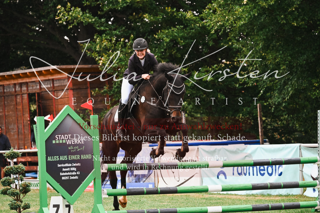DSC_6298 | Pferde- und Turnierfotografie in Westsachsen. Pferdeportraits, Auftragszeichnungen und intuitive Kunst.