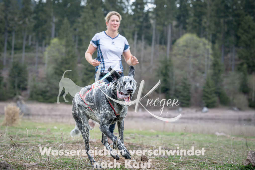 1813_ZZ94579 | kk-dogfotos