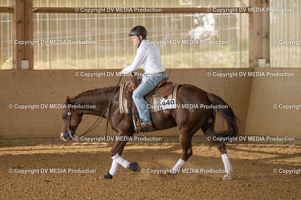 LAU01761 | dv-media-shop - Realisiert mit Pictrs.com