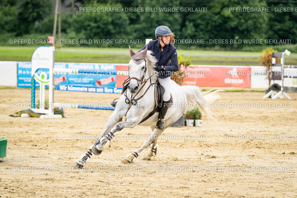 DSC06916 | Pferdegrafie