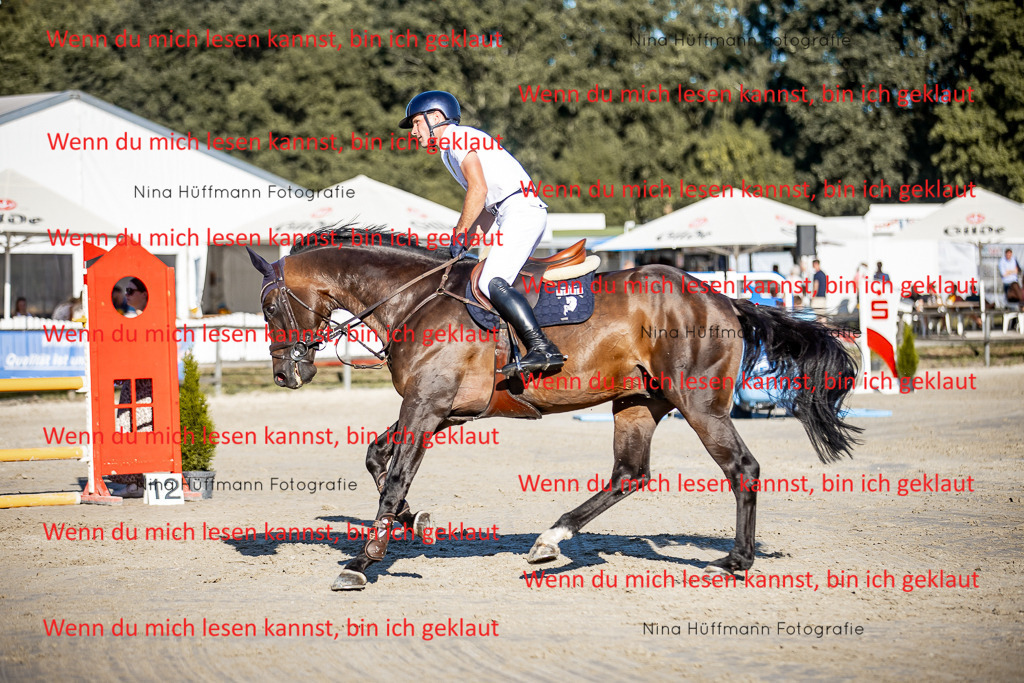 BK1A8279 | Turnierbilder Turnierfotos Nina Hüffmann Turnierfotografie Pferdefotografie Tierzeichnung Haustierzeichnung Pferdezeichnung Hundezeichnung Videograf  - Realisiert mit Pictrs.com