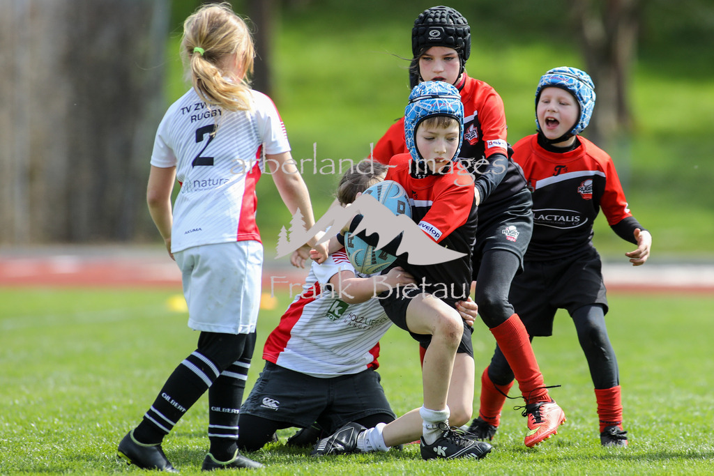 OE7A5030 | in verschiedenen Altersklassen tritt der TV Zwiesel gegen Manschaften aus Nyrsko im Kids Match an.