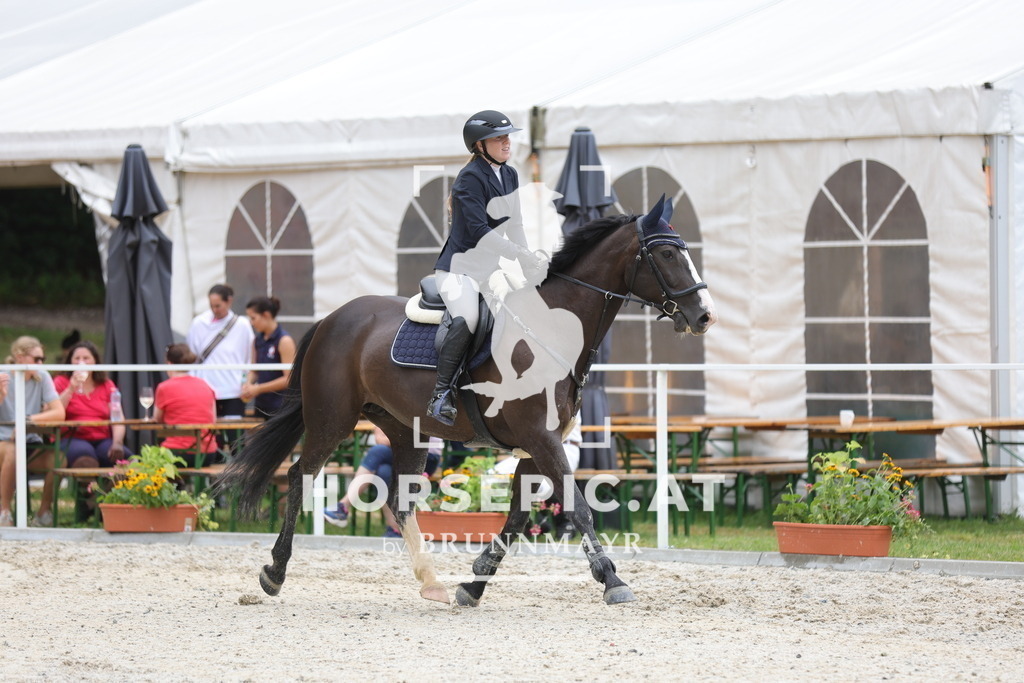 0P6A3729 | Willkommen bei Brunnmayr - Design & Fotografie – Ihrem Spezialisten für Reitturniere und Pferdeveranstaltungen in Oberösterreich, Salzburg und Bayern! Seit über 17 Jahren sind wir leidenschaftlich dabei.