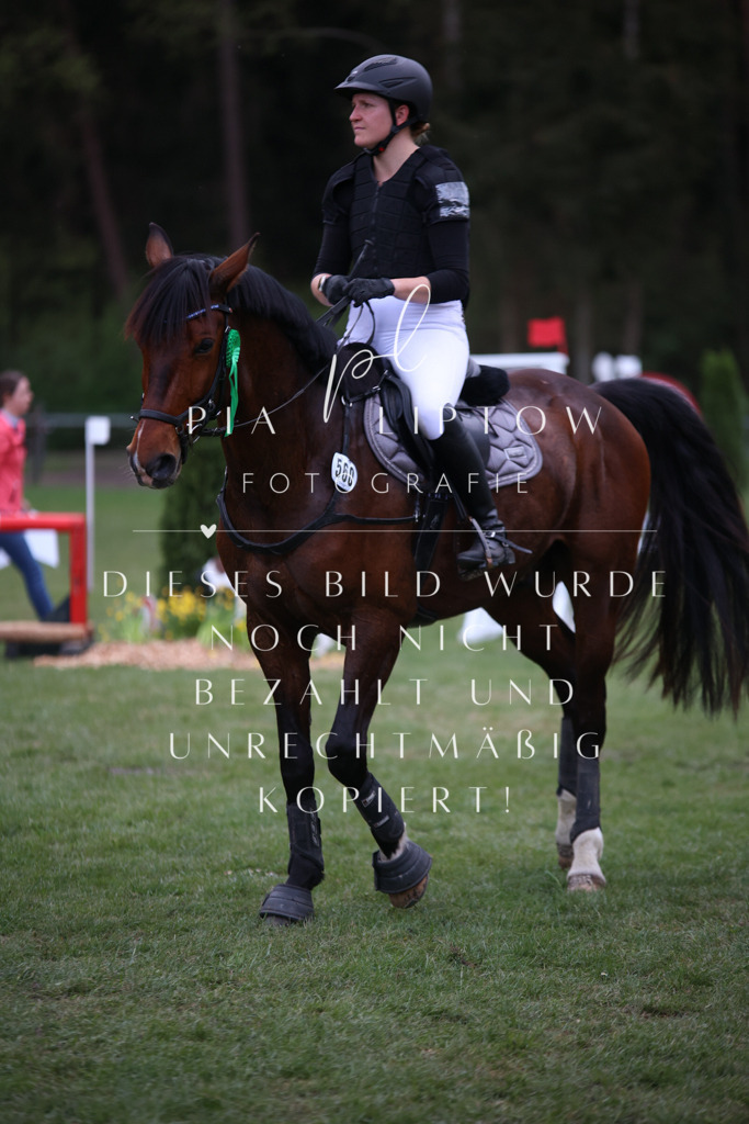 IMGT9612 | pl-fotografie