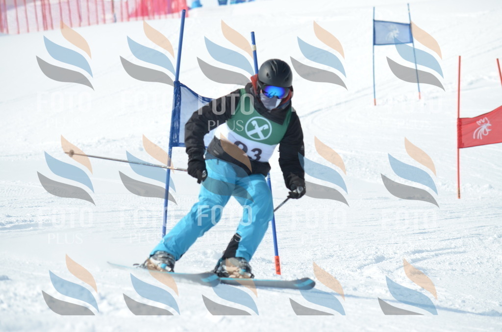 D9079 | holidayphoto