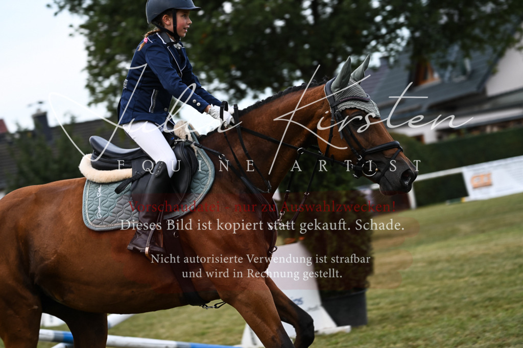 DSC_5700 | Pferde- und Turnierfotografie in Westsachsen. Pferdeportraits, Auftragszeichnungen und intuitive Kunst.