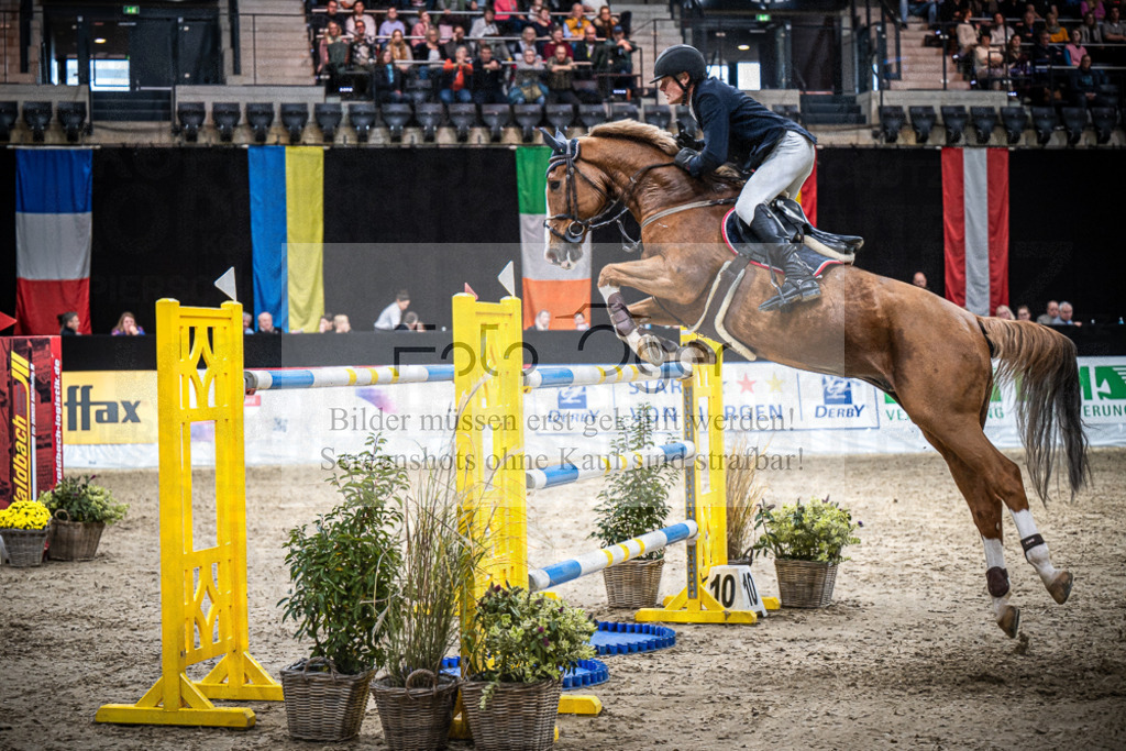 DOS_1230 | Entdecke hochwertige Reitturnierfotos von Foto Oger. Professionell, emotional und authentisch – jetzt Lieblingsmomente im Shop bestellen.Deutschlandweite Turnierfotografie. - Realisiert mit Pictrs.com