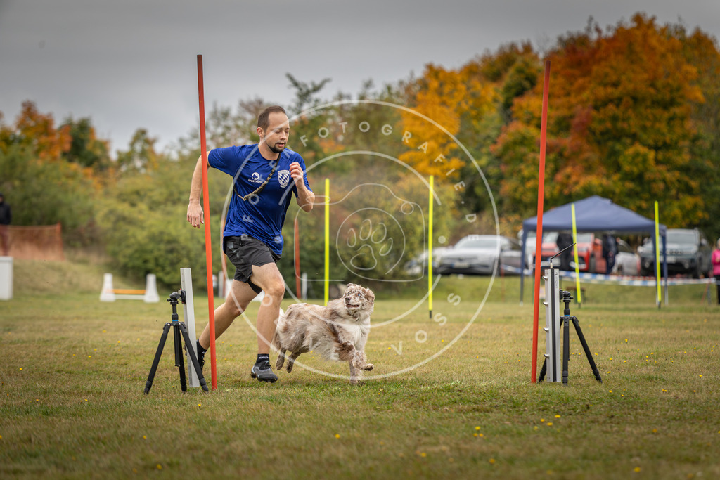 Pfotenfotografie_DV3A5471 | Hundefotografie, Tierfotograf, Pfotenfotografie, Fotoshooting Hund, Hunde Portrait, Hundesport, Hundeportraits, Heideshooting, Hunde, Sportfotograf, Hundefotograf, Turnierhundsport, THS,  - Realisiert mit Pictrs.com