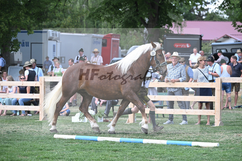 Kat-Nr. 59 Pamina_Mayr_20230958 | hf-fotografie - Realisiert mit Pictrs.com