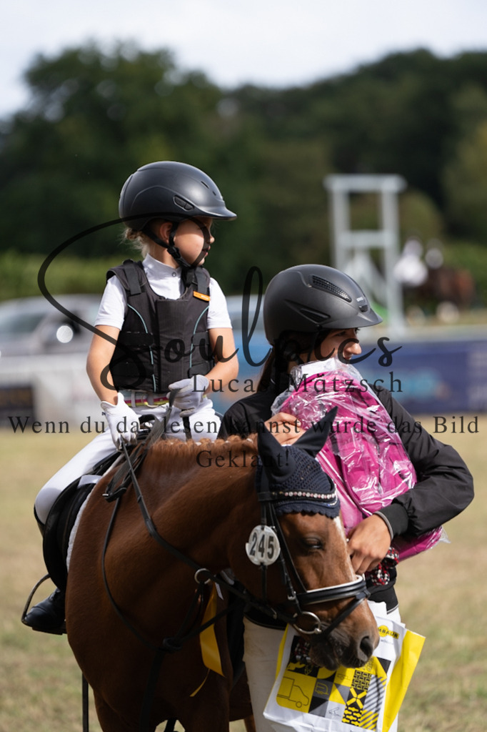 A7V01337 | Pferdefotograf