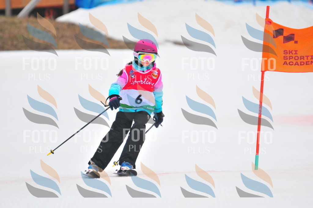 C0429 | holidayphoto