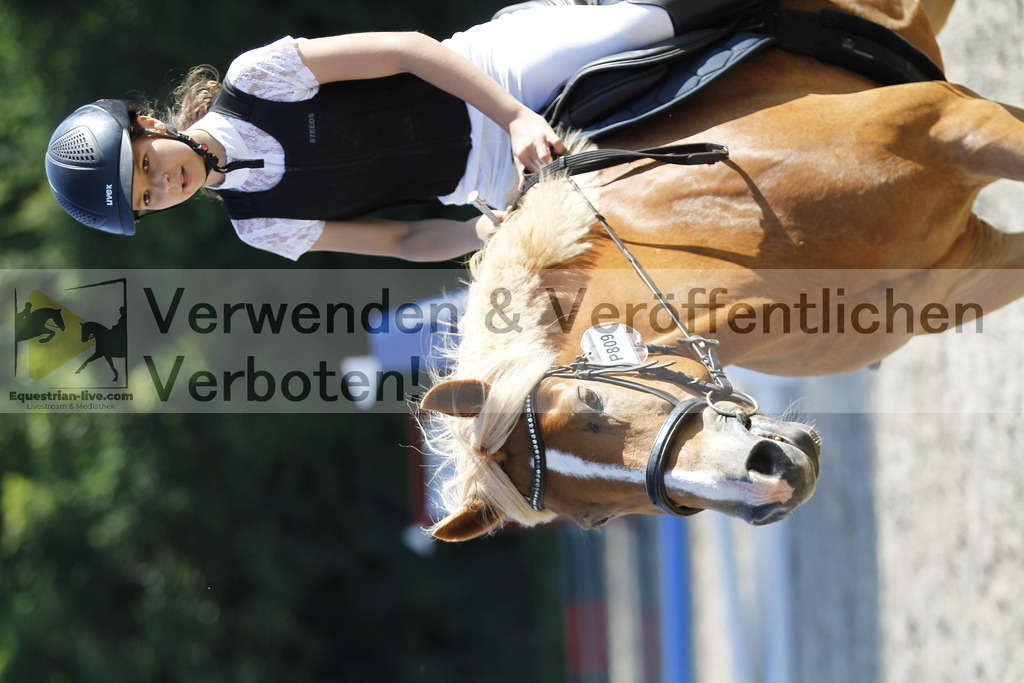 _MG_6260 | equestrian-live-com