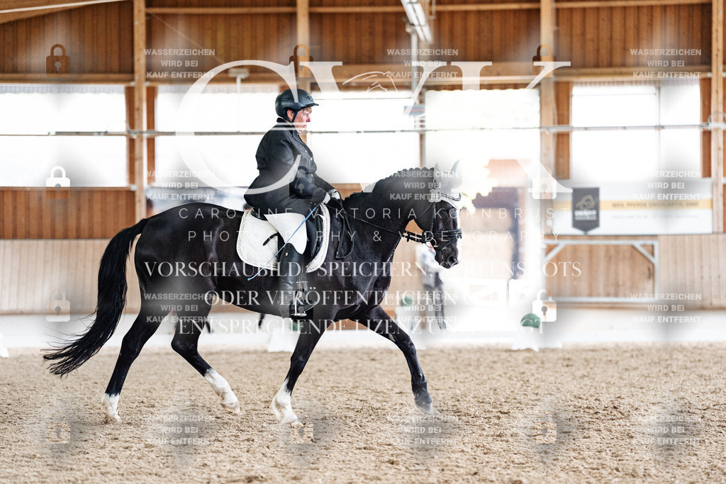 CK901206 | Turnierfotografie Pferdefotografie Trier Rheinland-Pfalz Pferdesport Reitsport Tierfotografie Sportfotografie Pferdevideo Pferdevideografie Equestrianvideography equestrianphotography  - Realisiert mit Pictrs.com