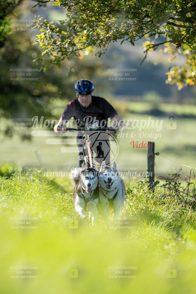 MompixPhotography_20TSB_E3_DS2-46 | PayLife