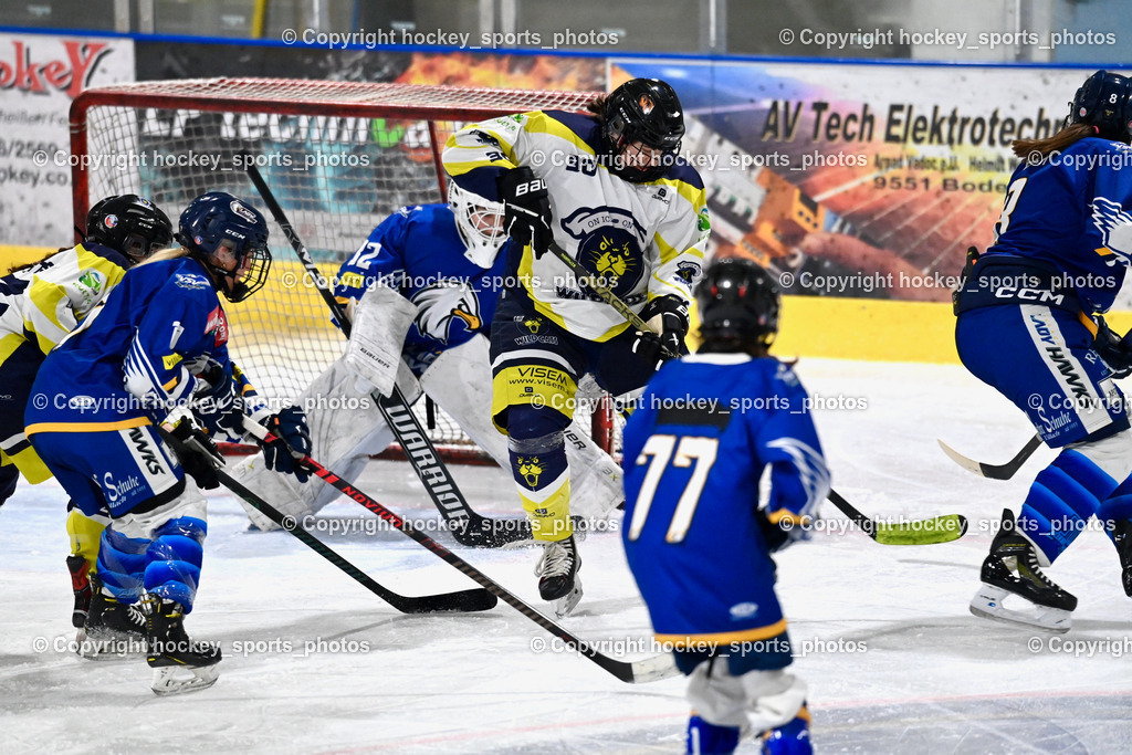 LADY HAWKS vs. WILDCATS PATERNION | #30 Sauerbier Dana Kiara WILDCATS PATERNION, #32 Prasser Hannah Sophie LADY HAWKS, LADY HAWKS vs. WILDCATS PATERNION, LADY HAWKS vs. WILDCATS PATERNION am 12.03.2025 in Steindorf (Ossiachersee Halle), Austria, (Photo by Bernd Stefan)