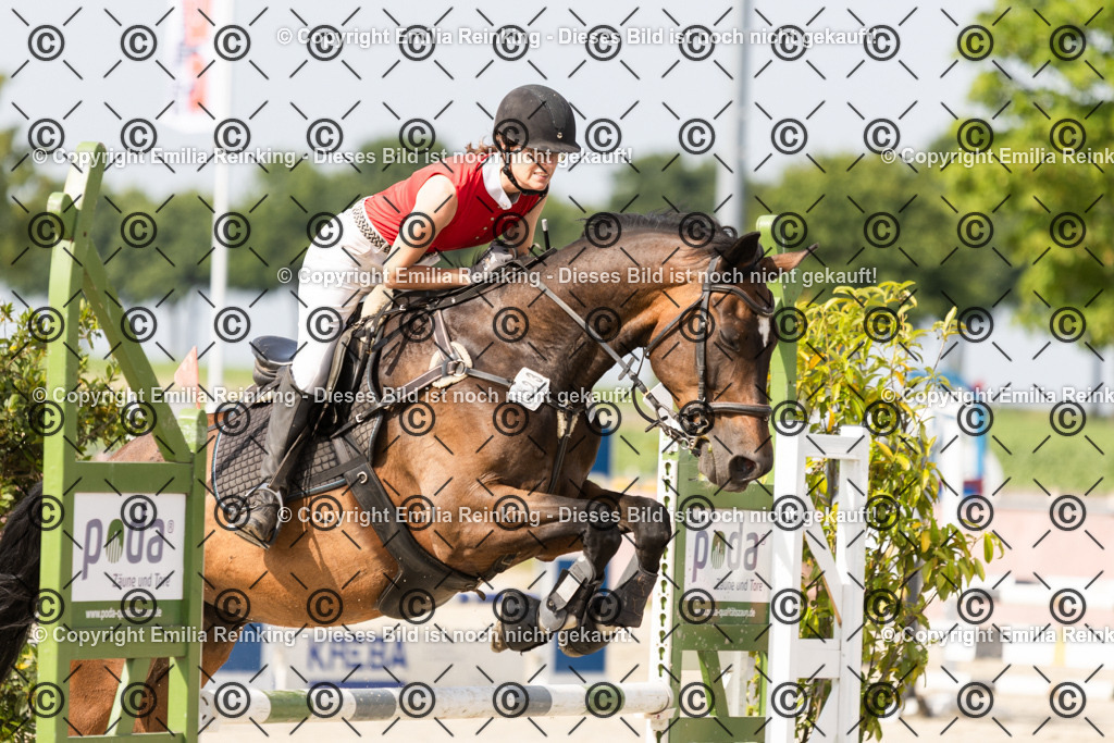 CL5A4515 | Emilia Reinking Fotografie - Realisiert mit Pictrs.com