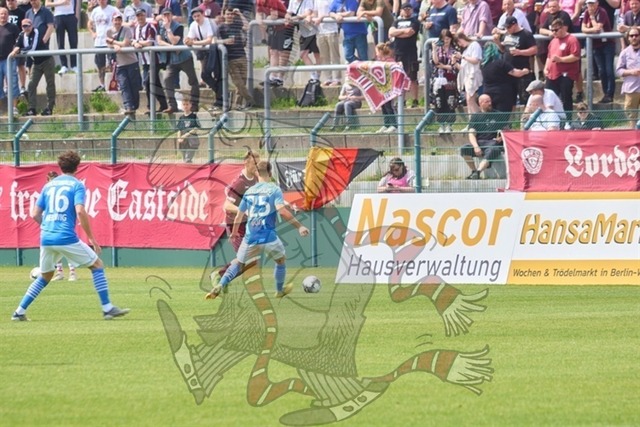 BFC Dynamo vs. FSV 63 Luckenwalde 032 | mythos-online-redaktion