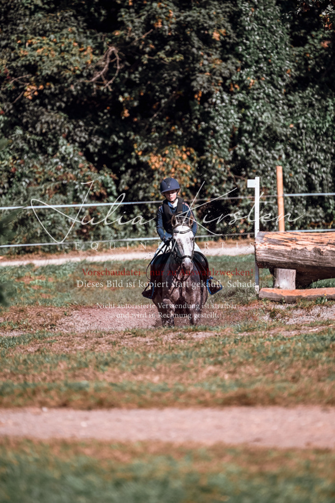 DSC_1165 | Pferde- und Turnierfotografie in Westsachsen. Pferdeportraits, Auftragszeichnungen und intuitive Kunst.