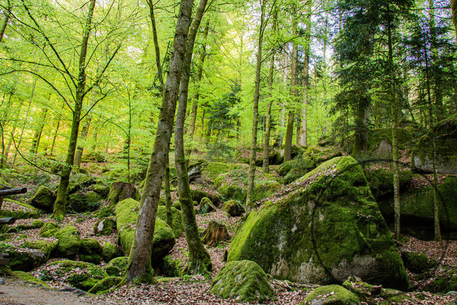 1000302-19042026-181832 | Landschaftsfotos, Naturfotos, Fotos, Fotograf, Landschaftsfotograf, Naturfotograf, professioneller Fotograf