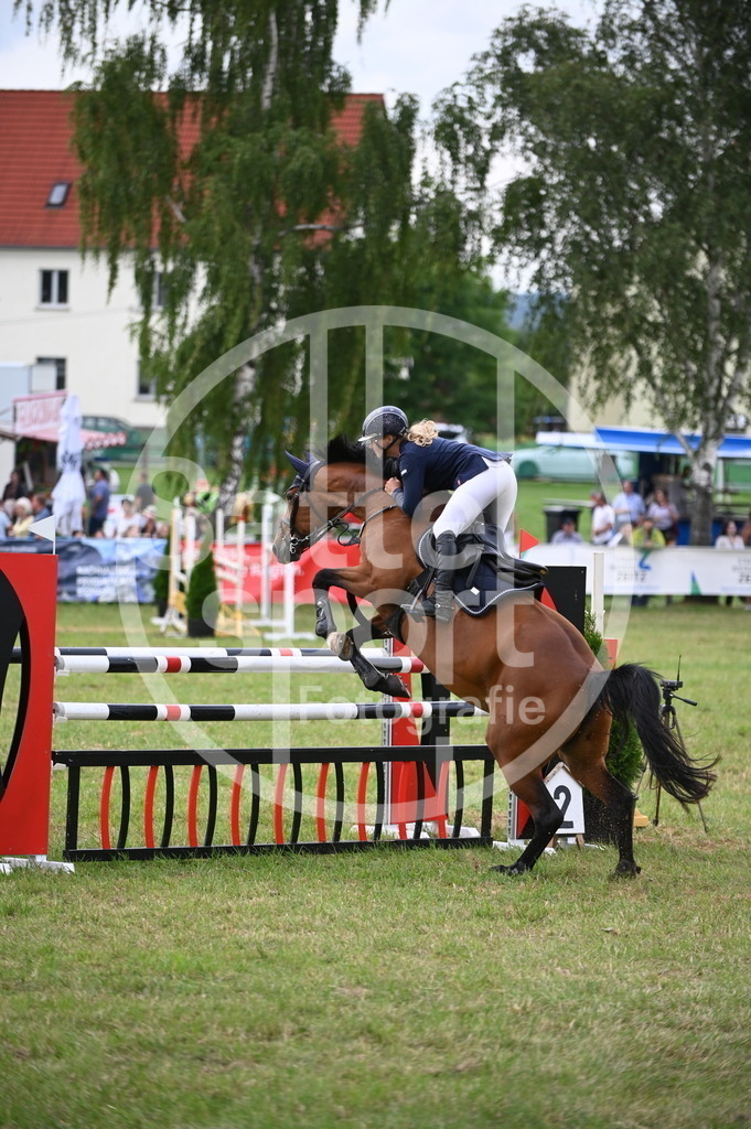 DSC_3774 | sattelsport - Realisiert mit Pictrs.com