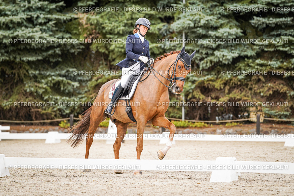 DSC07485 | Pferdegrafie