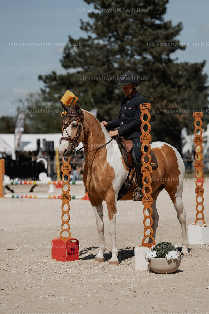 WE_ST_Stoib_344_PI2025_1320 | Pferd International München 2025