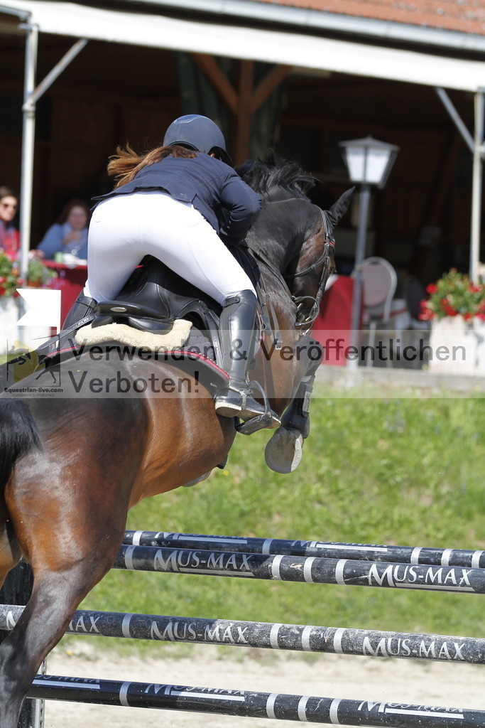 _MG_9597 | equestrian-live-com